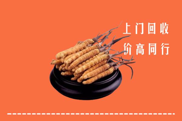 收购行情：乐东县冬虫夏草回收多少钱每克