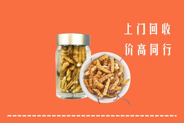 高价求购：乐东县回收冬虫夏草
