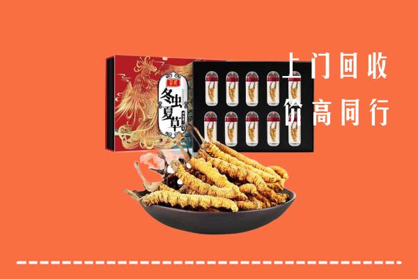 乐东县回收虫草